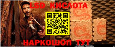 гидропоника Гусев