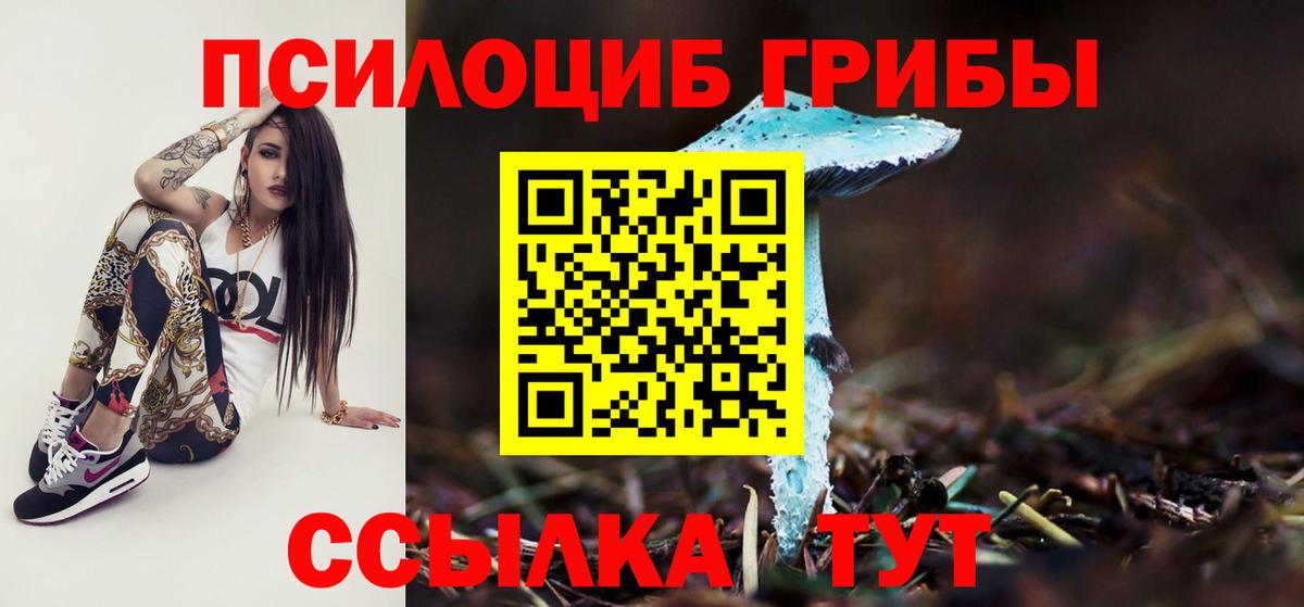 Псилоцибиновые грибы GOLDEN TEACHER Красноперекопск