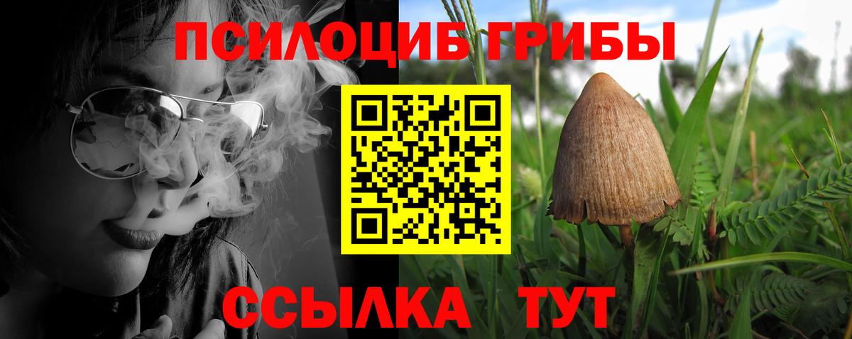 Галлюциногенные грибы мухоморы  Вход с VPN  Красноперекопск  Галлюциногенные грибы Psilocybe 